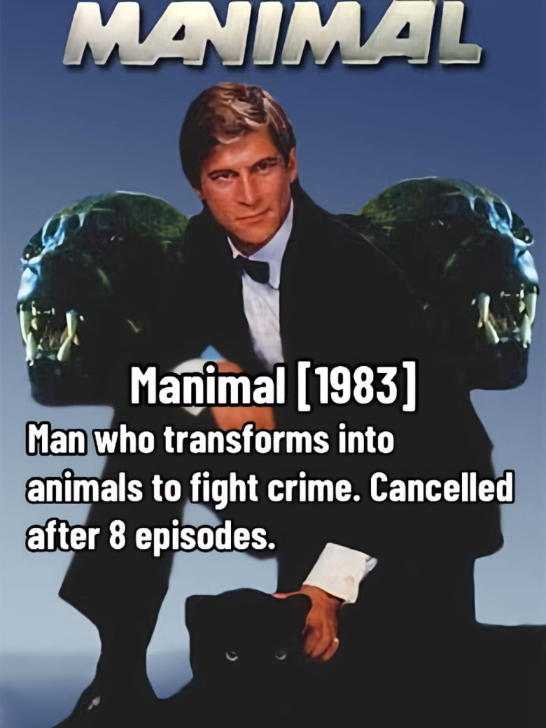 Manimal [1983]