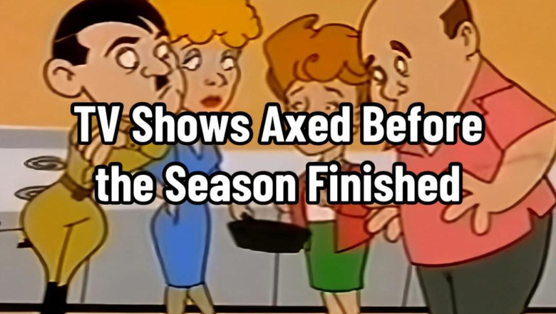 TV Shows That Were Axed Before the Season Finished