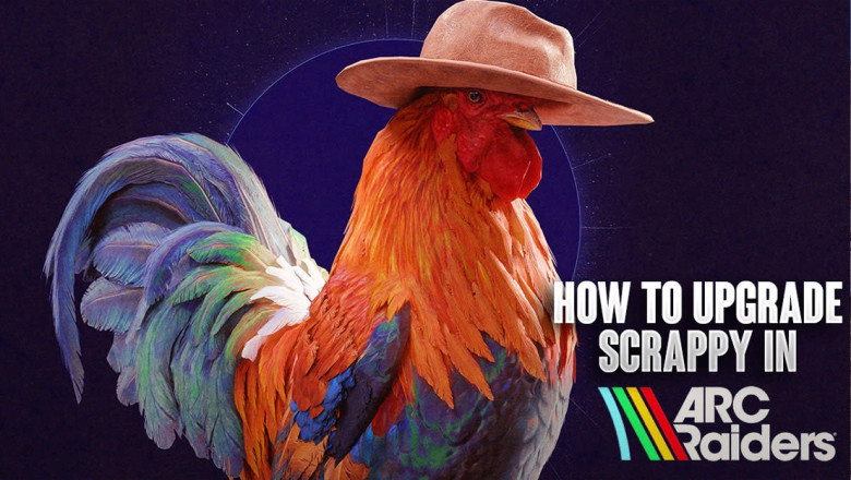 🐔 Meet Scrappy: More Than Just a Mascot